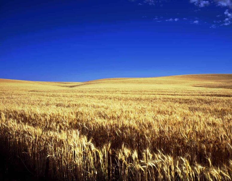 Denkwürdige Aktivitäten in Kansas